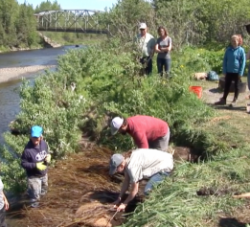 2019 Anchor River Restoration